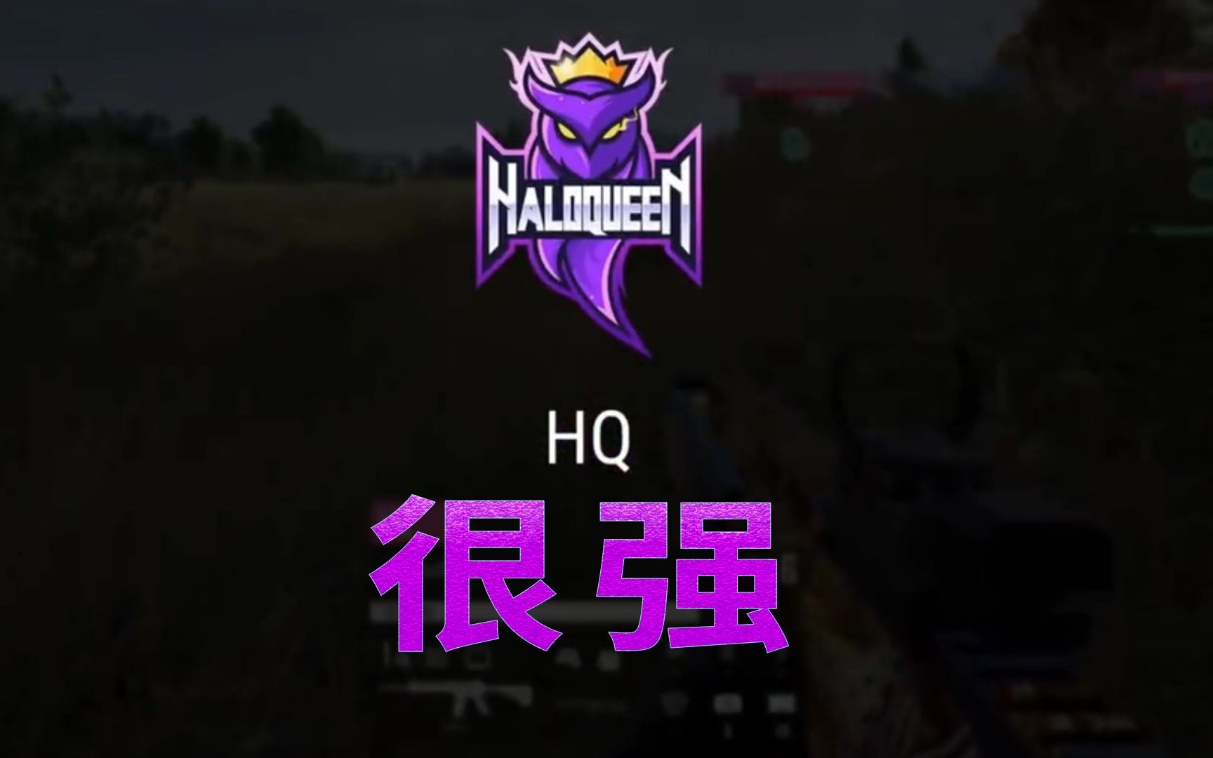 热门队伍突然崛起，成为黑马(热门队伍突然崛起,成为黑马的小说)