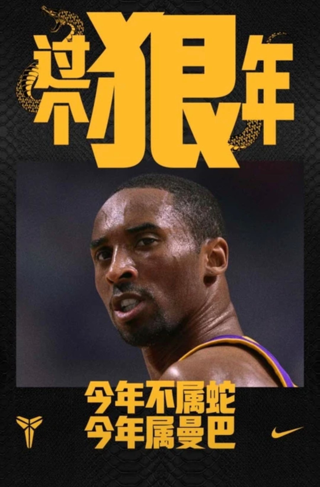 黄蜂逆袭豪取胜利，实力迅速崛起的简单介绍