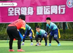 三亿体育平台-俄罗斯联赛擎旗争霸，雄鸡报晓夺冠传奇(俄罗斯世界杯夺冠赛程)