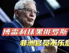 包含山猫主帅博雷戈：我们要打出团队精神才行的词条