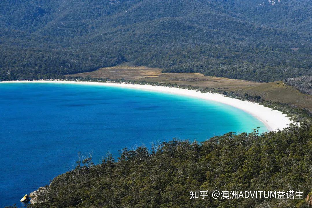 三亿体育官网-包含塔斯马尼亚联球员心理辅导加强，保持良好比赛心态的词条