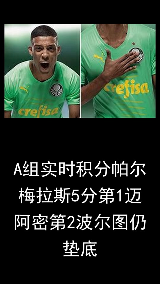 三亿体全站-帕尔梅拉斯伤病名单更新，关键球员状态备受关注