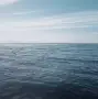 三亿体育-AL也是够惨的，马上石油杯又要被韩华教育的简单介绍