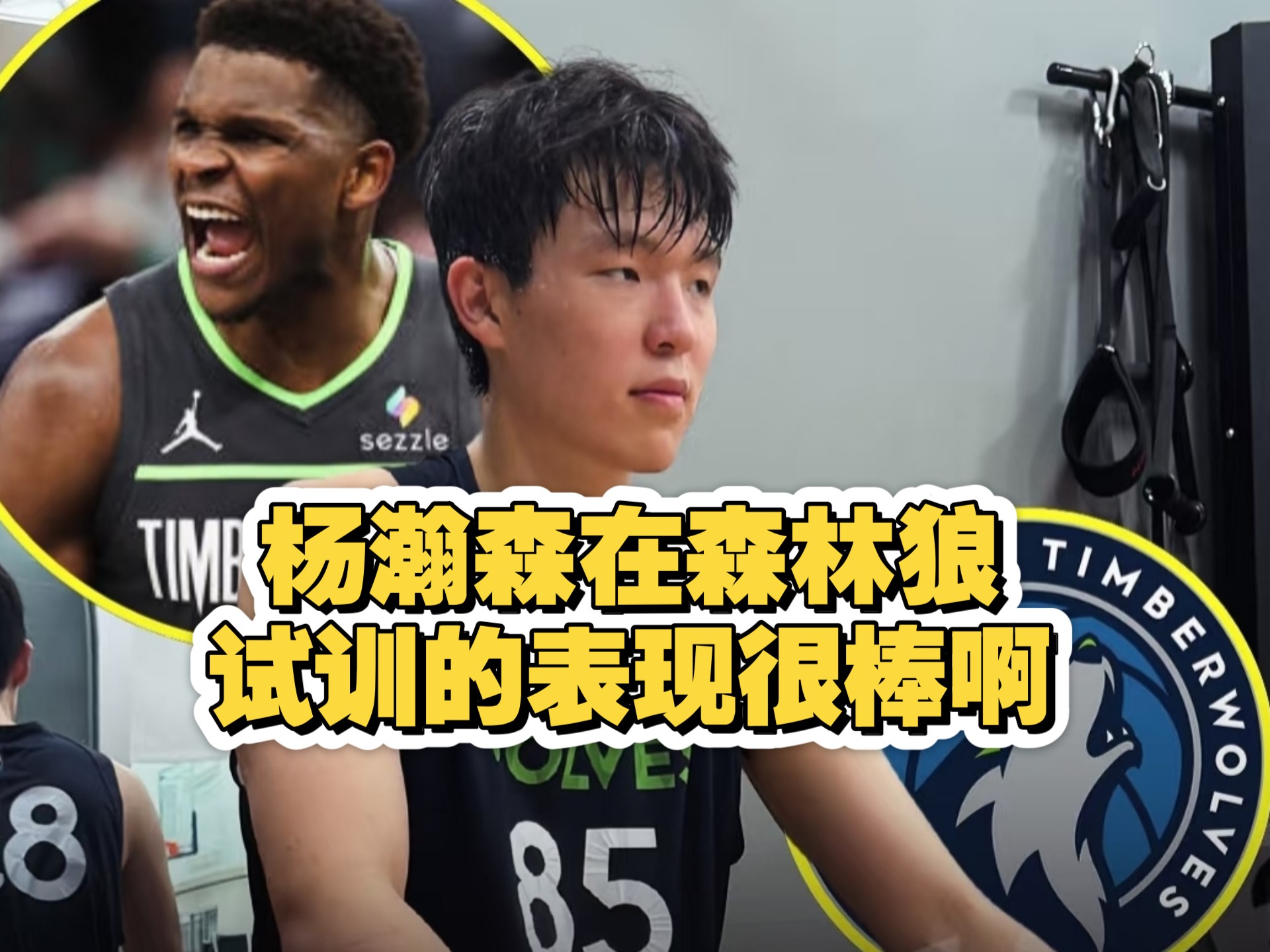 三亿体育官网-关于杨瀚森完成森林狼试训此前已试训9支球队的信息