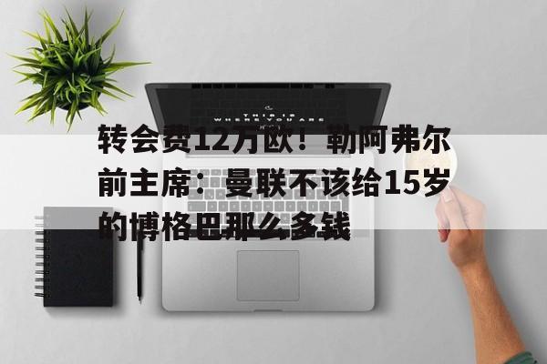 包含转会费12万欧！勒阿弗尔前主席：曼联不该给15岁的博格巴那么多钱的词条